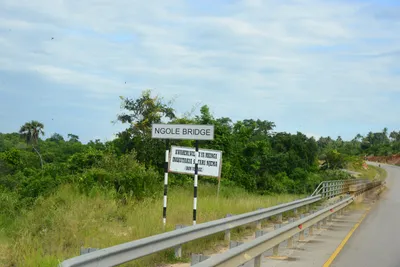 DSC_8732 (Large).JPG